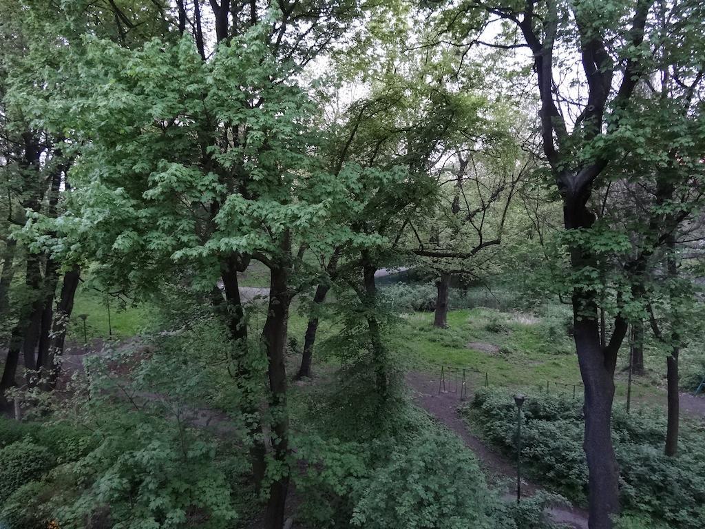 Nice Place Красков Стая снимка